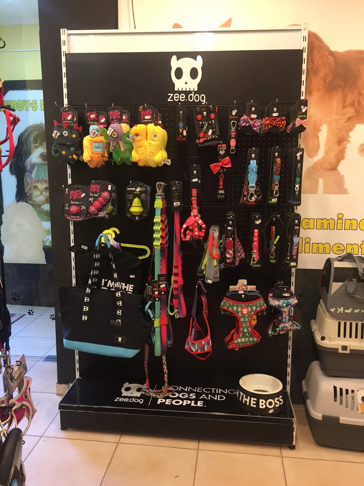 Buddy's Pet Shop — 2