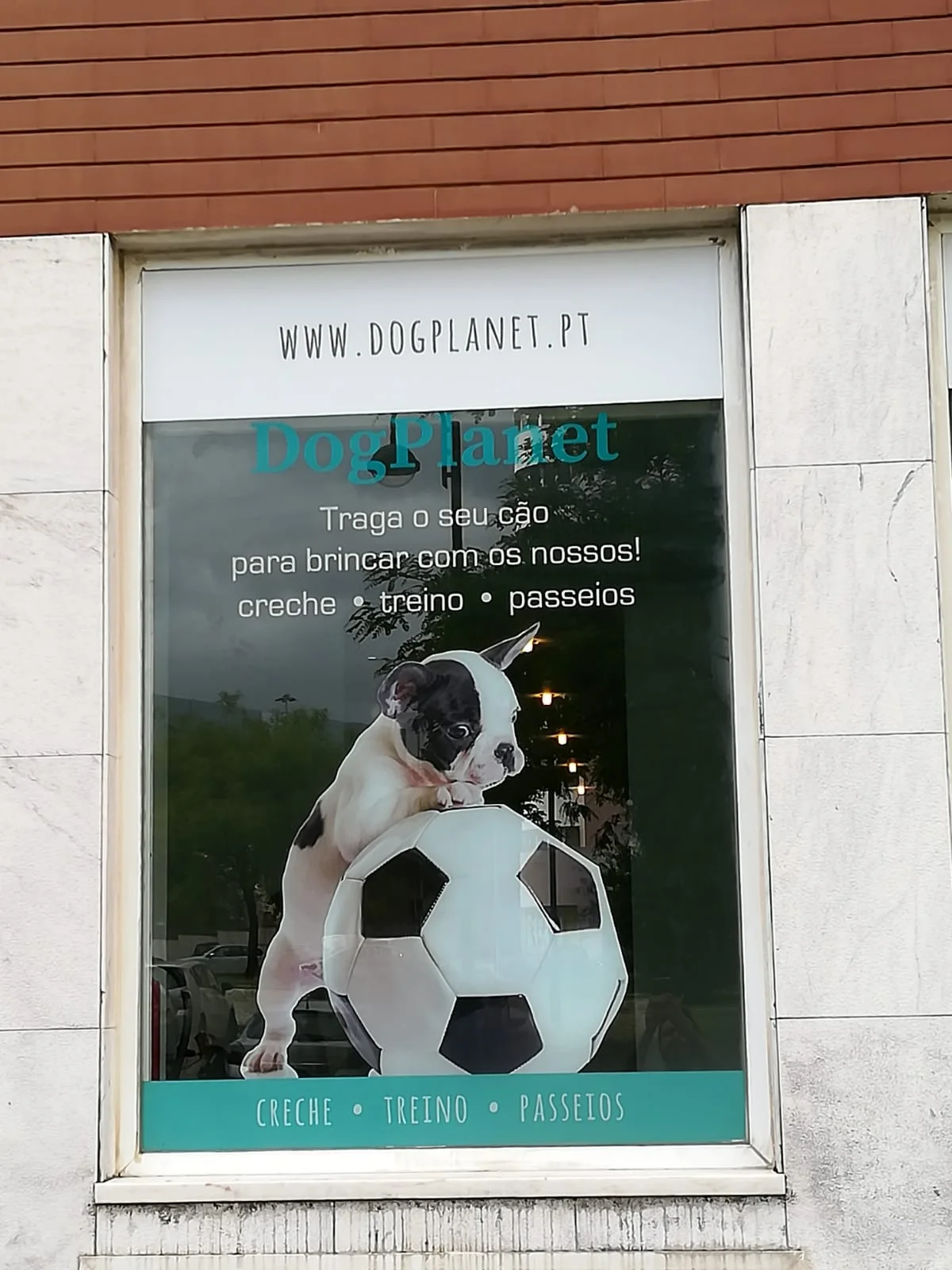 Dog Planet — 2