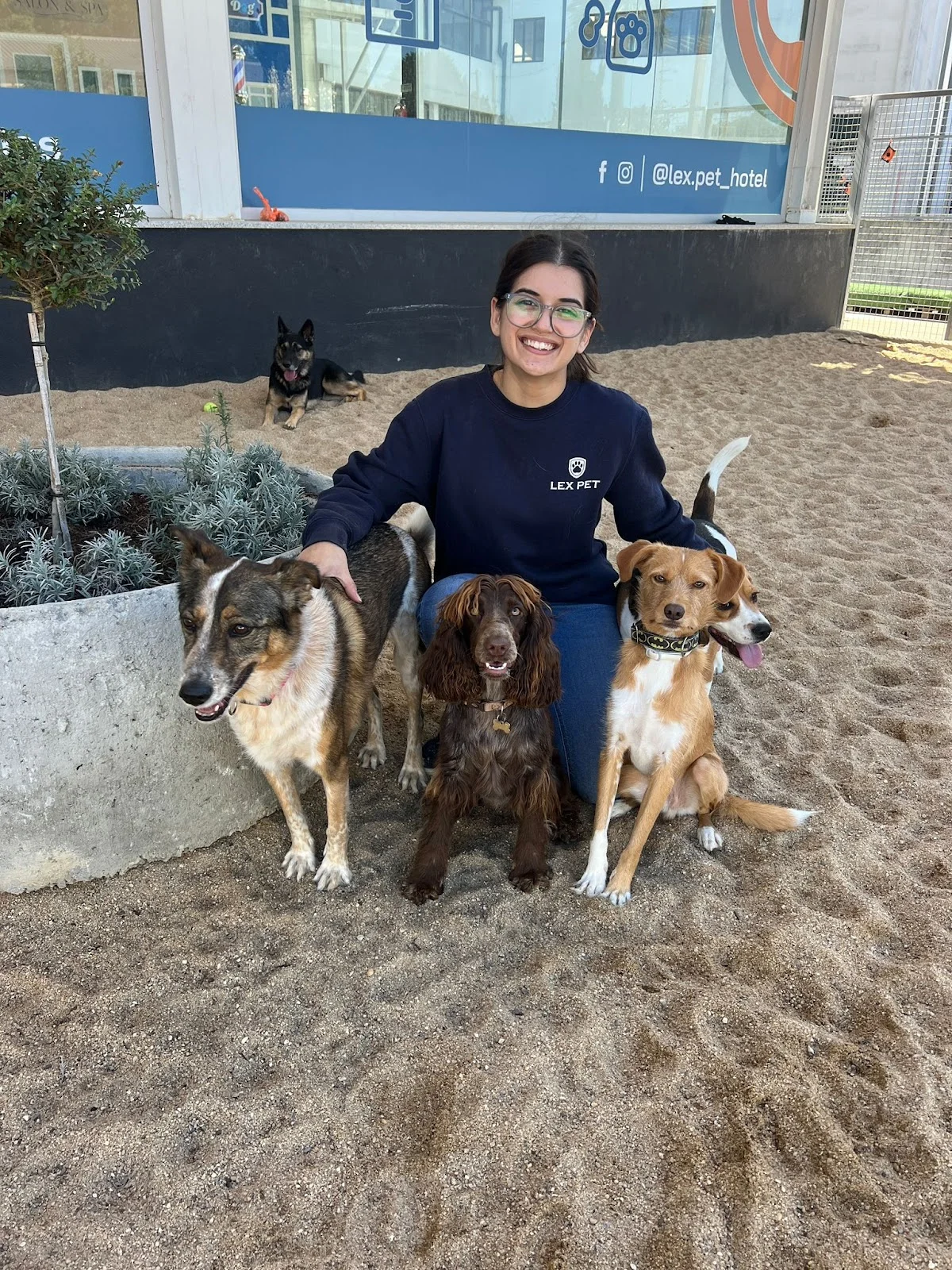 LEX PET - Hotel, Daycare & SPA — 2