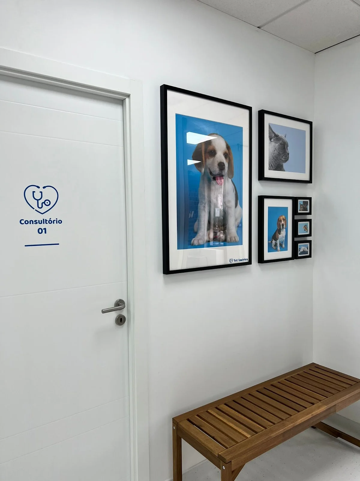 Clinica Veterinária Vet América