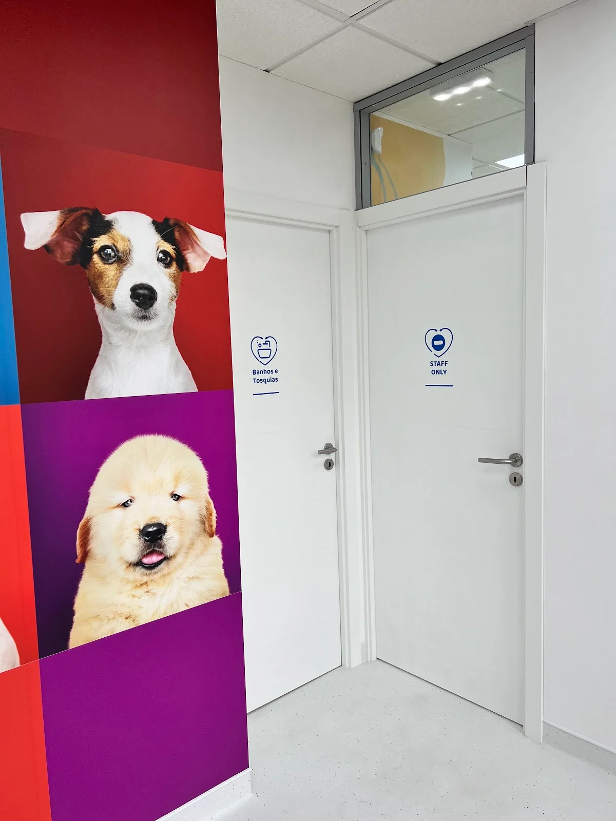 Clinica Veterinária Vet América — 2
