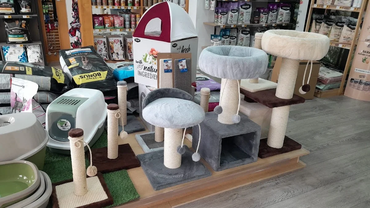 Animais em Casa — 3