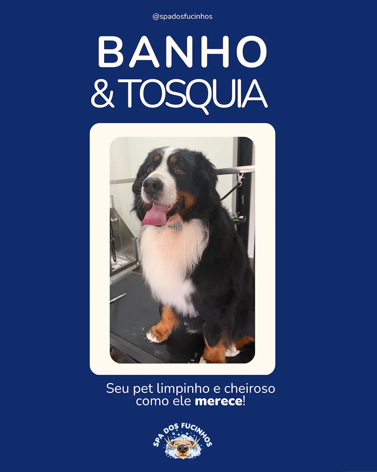 Spa dos Fucinhos