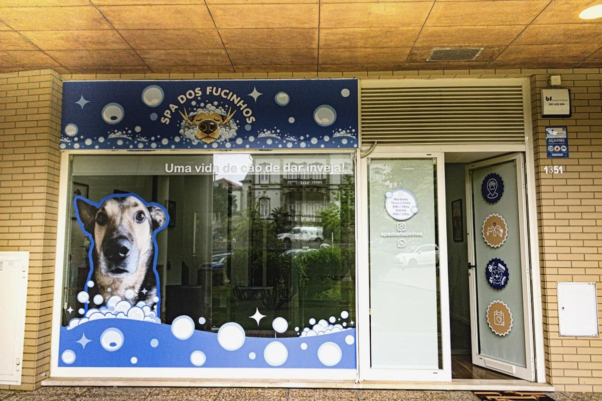 Spa dos Fucinhos — 2