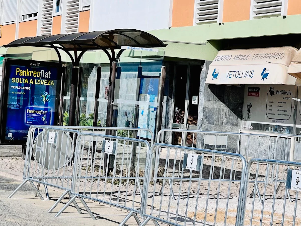 Vetolivais - Olivais Sul — 3